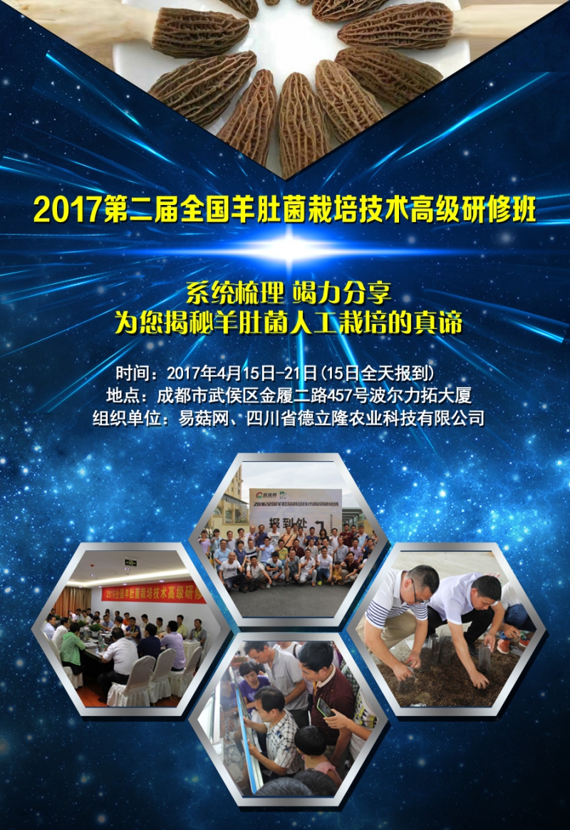 ManBetX体育研修班广告