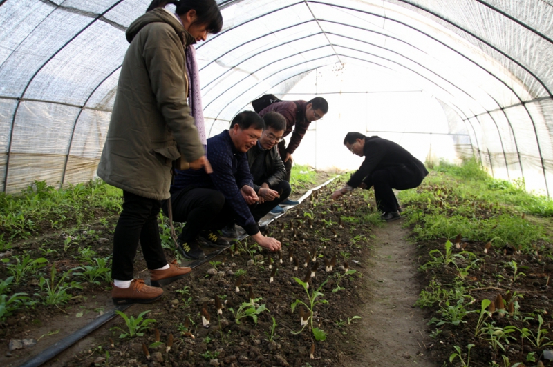 20170228ManBetX体育 028