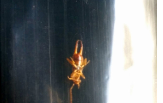 QQ截图20170320172352