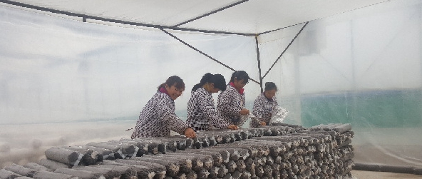 1120690231_14903547959841n