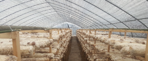 1120690231_14903547960191n