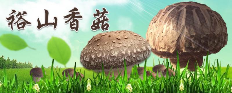 QQ截图20170329113759