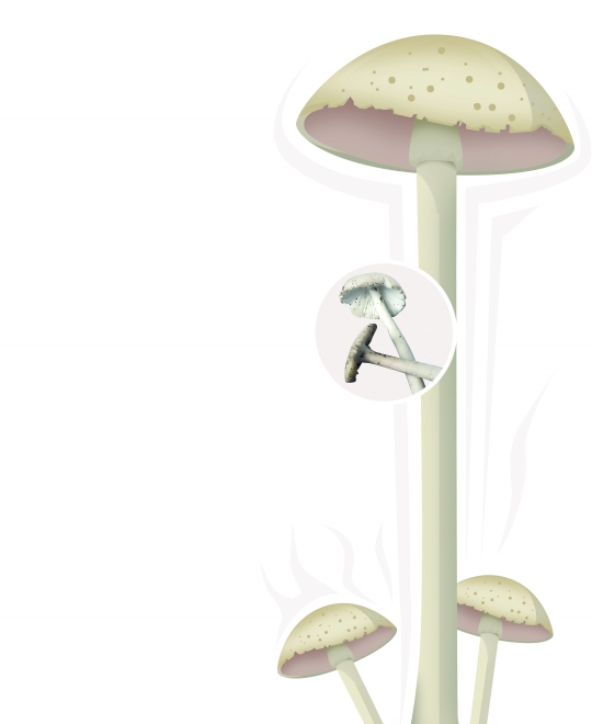 dcma013001_b_eba03e16a7