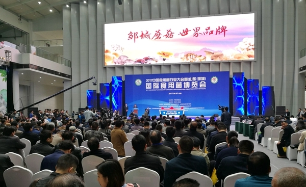 QQ截图20170410090014