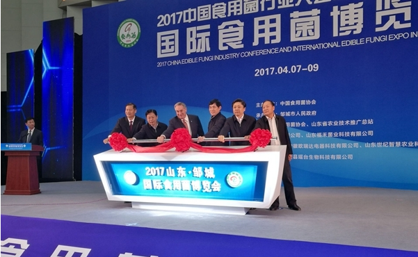 QQ截图20170410085957