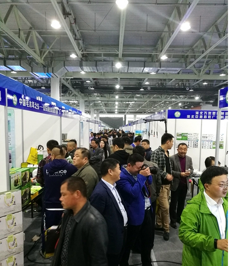 QQ截图20170410090053