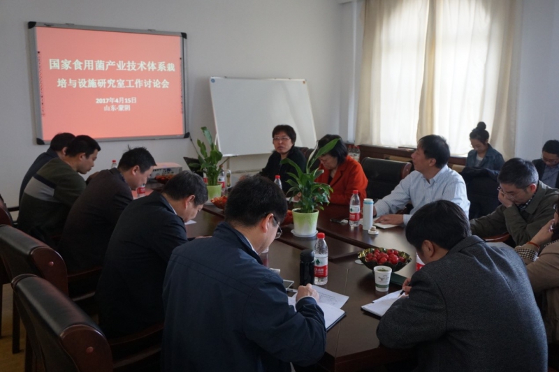 Editor_2017418132013988