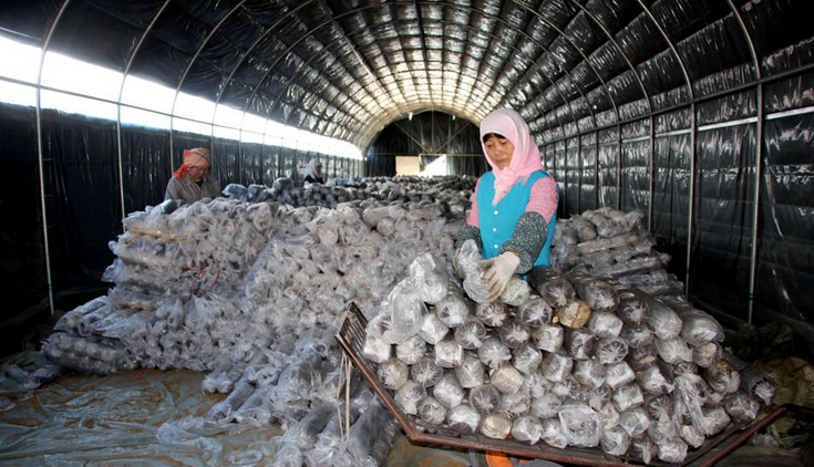 QQ截图20170425090154