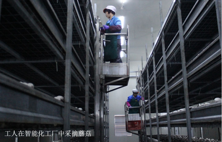 QQ截图20170506141615