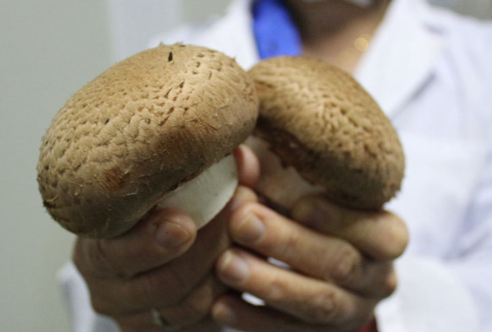 QQ截图20170506141450