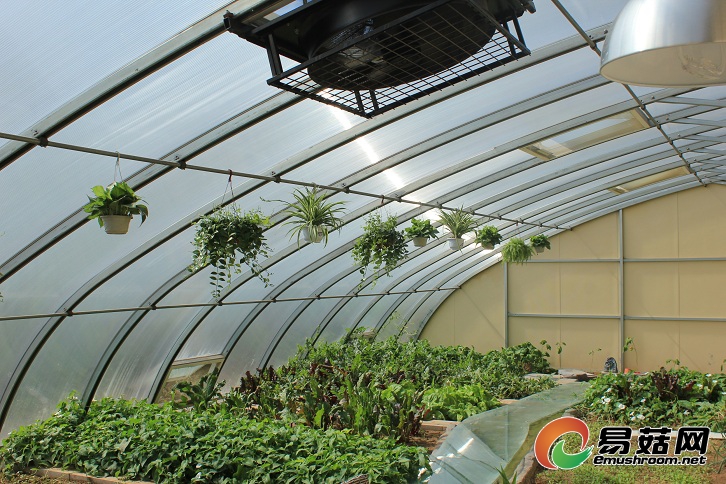 微信图片_20170509160947