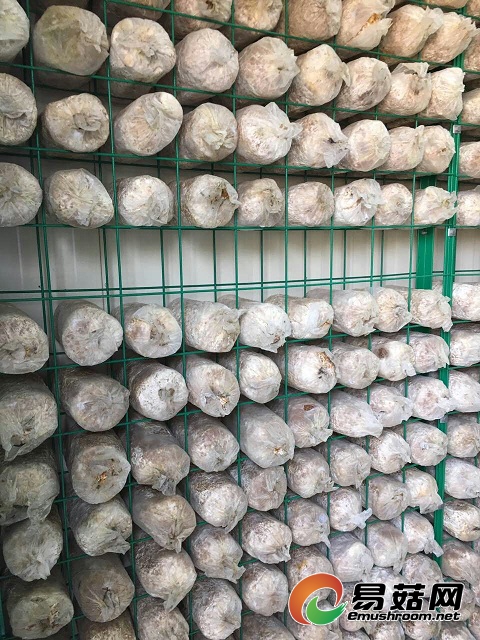 微信图片_20170509153142