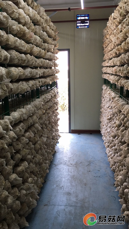 微信图片_20170509153236