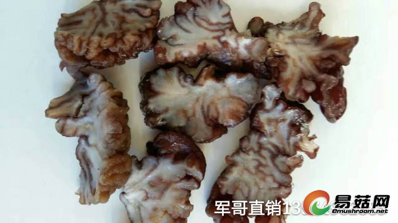 mmexport1486643580058_mh1486643673413