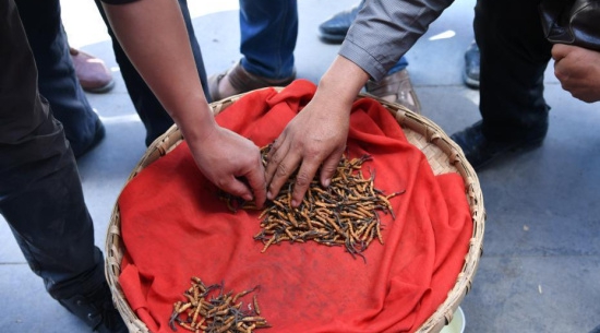 CgpBUFki5MCAPbW0AAE-8KlJk_E889