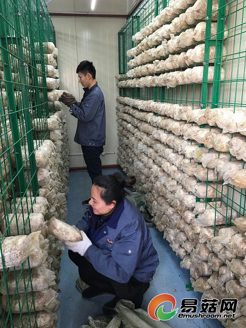 微信图片_20170509153219