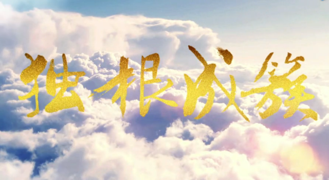 33bd98fd05a9ec4f086f3f96c06135ea-sz_613989