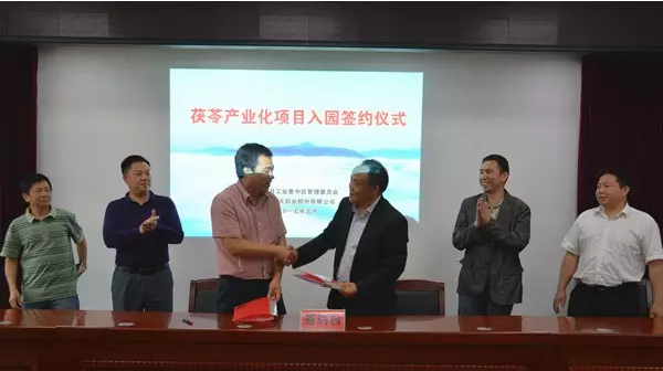 QQ截图20170525100146