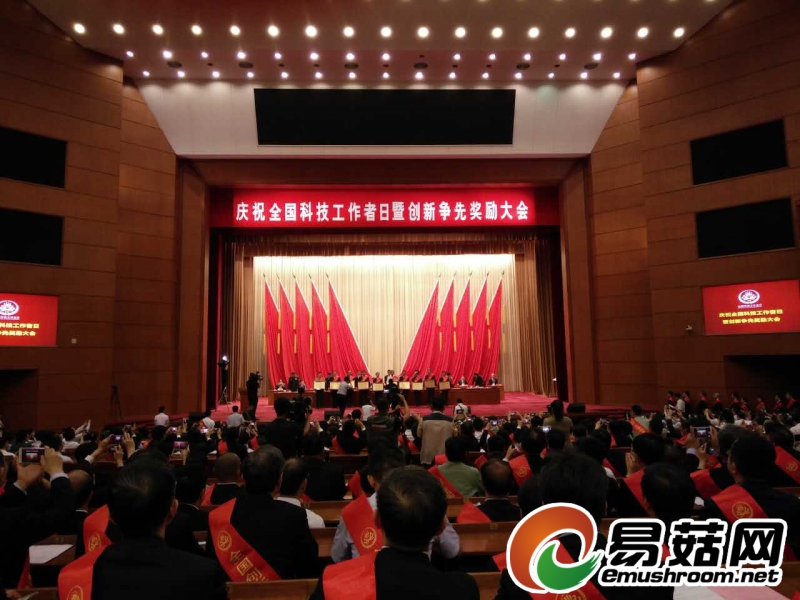 微信图片_20170527162657_副本