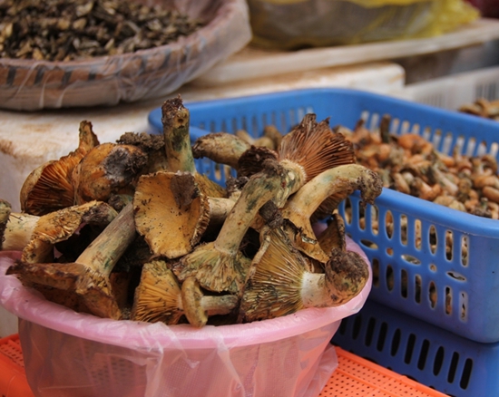 136320576_14958756593811n