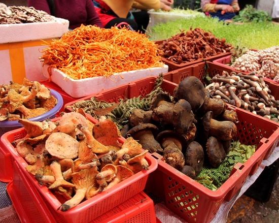 136320576_14958756594801n