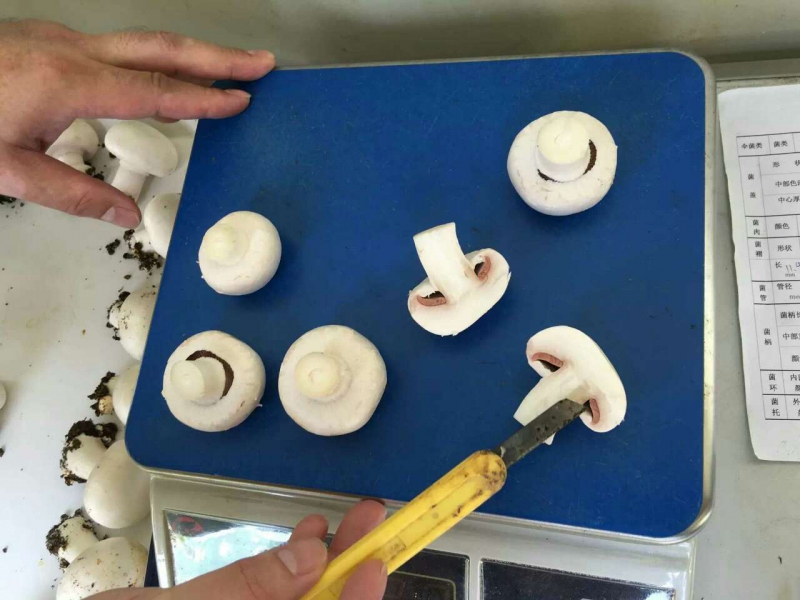 微信图片_20170531110747