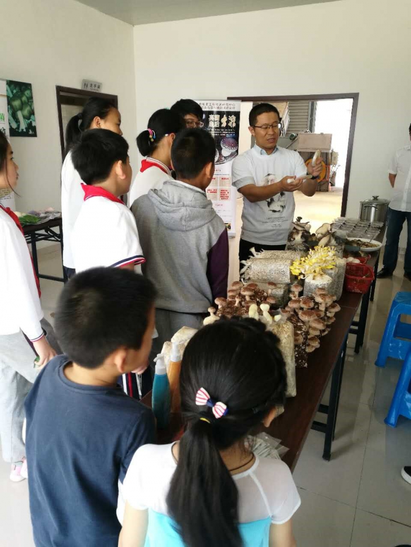 Editor_201761132116260