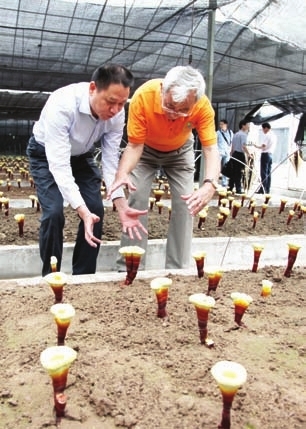 00300065668_ec74b230