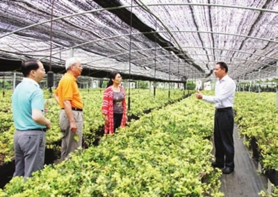 00300065669_d7e36de8