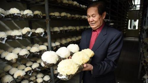 QQ截图20170610085229