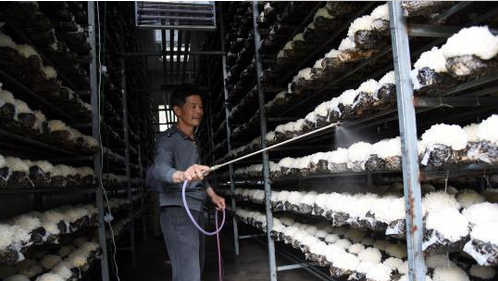 QQ截图20170610085246