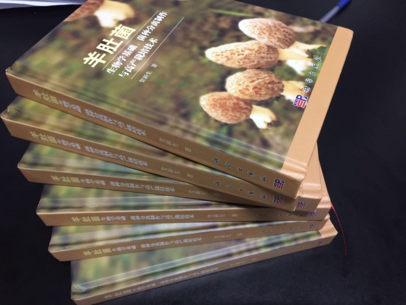 微信图片_20170610133824