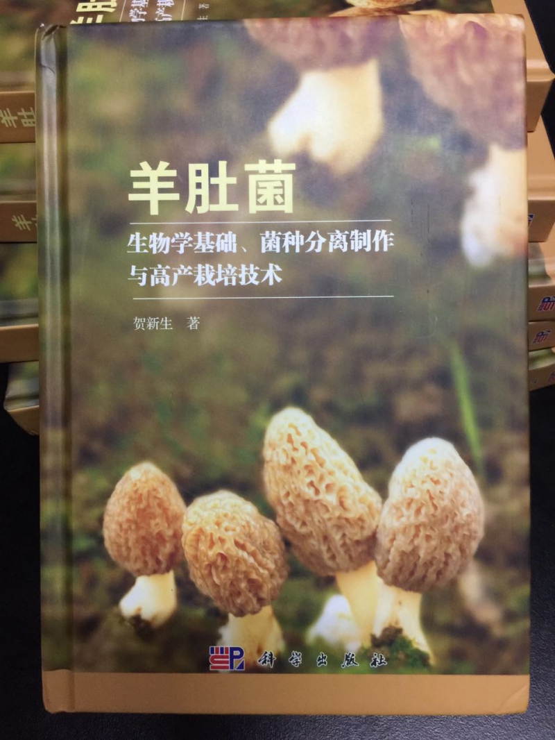 微信图片_20170610133829