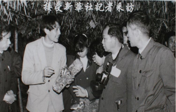 QQ截图20170613115733