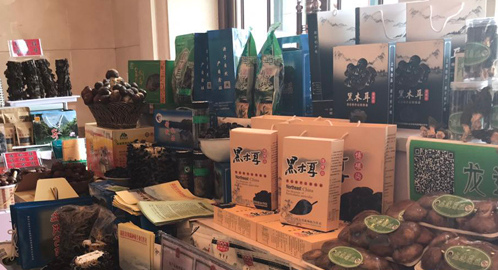 QQ截图20170614104743