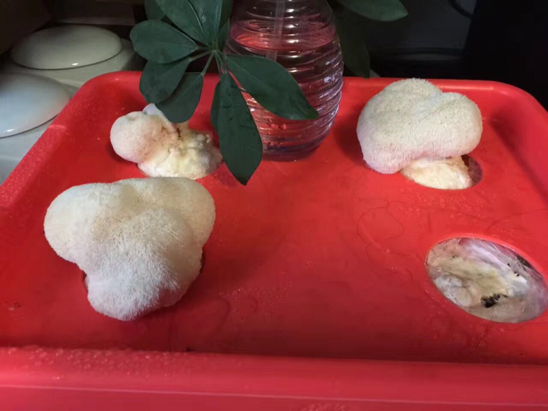 71233d78-1be1-4ef7-9494-0cc2efb79e1d