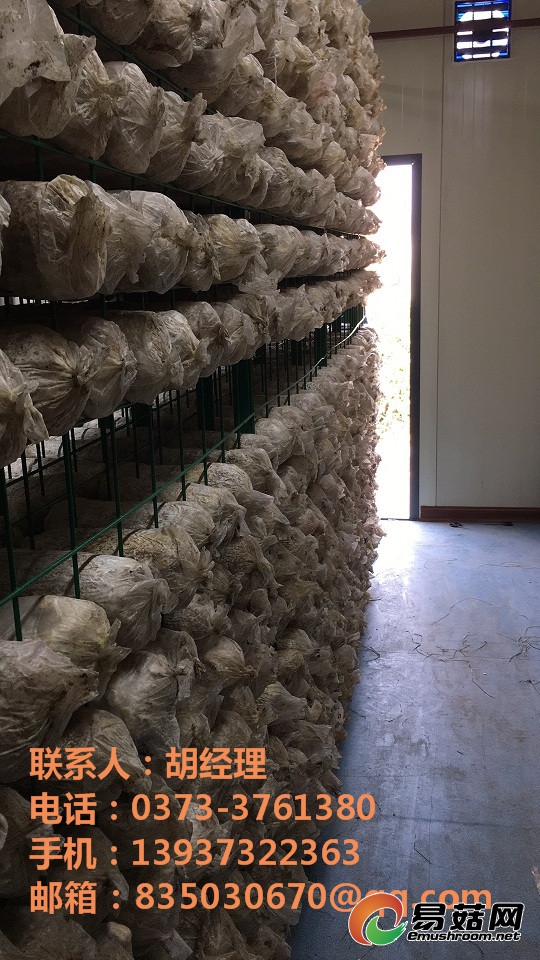 微信图片_20170509153239