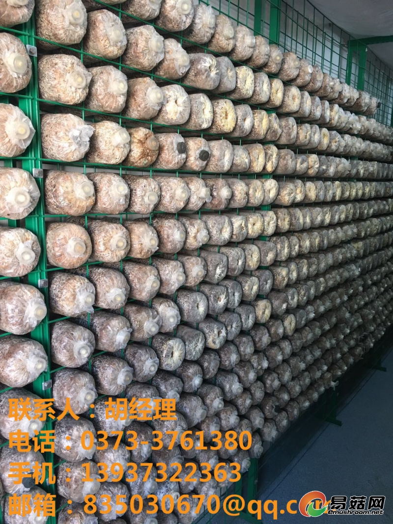 微信图片_20170621174704