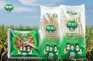 临洮签约ManBetX体育精准扶贫项目　雪榕生物拟投资10亿元在该地建厂