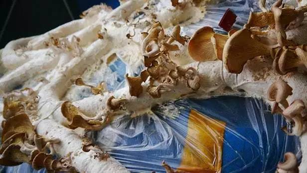 fa8d14812d9c45ea92035ac8c4f84083_th