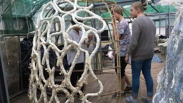 78b565f403514e8aa34e42917e70f307_th