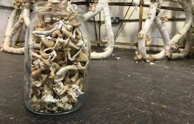 78ad0d7f10e4452f86686d470ced2813_th