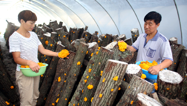 QQ截图20170713085357