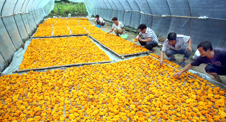 QQ截图20170713085409