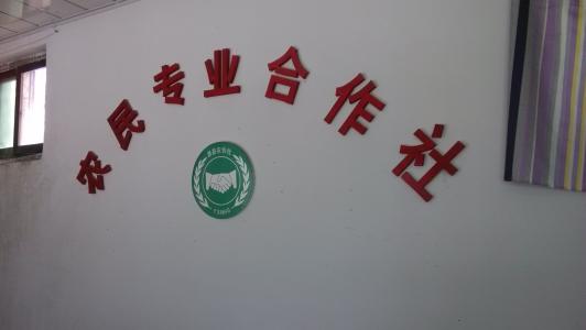 u=207608870,1973426411&fm=26&gp=0