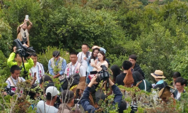 QQ截图20170722153215