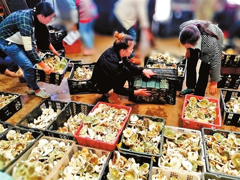 136473105_15010302792461n