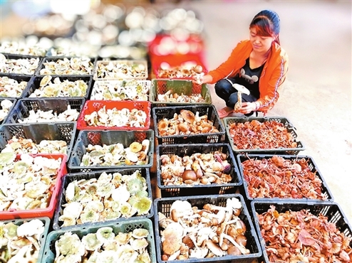 136473105_15010302821861n