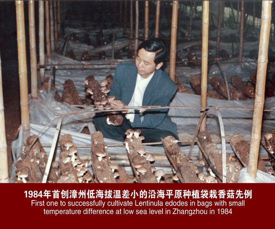 研究所首创＝香菇