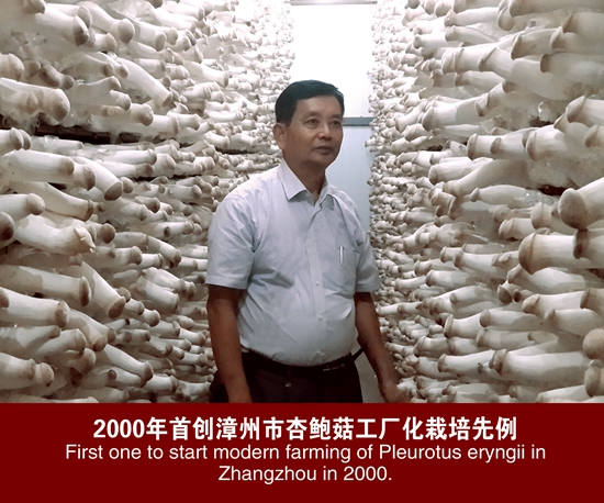 研究所首创＝杏鲍菇